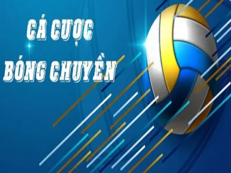 Cá Cược Bóng Chuyền - 365Bet Sân Chơi Đỉnh Cao