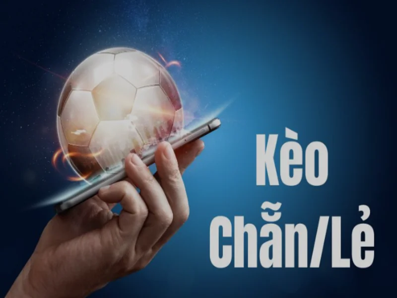 Các ưu đãi hấp dẫn tại Kèo Bóng Đá Chẵn Lẻ 365Bet